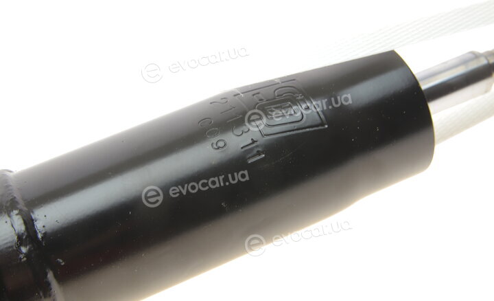 Solgy 211311