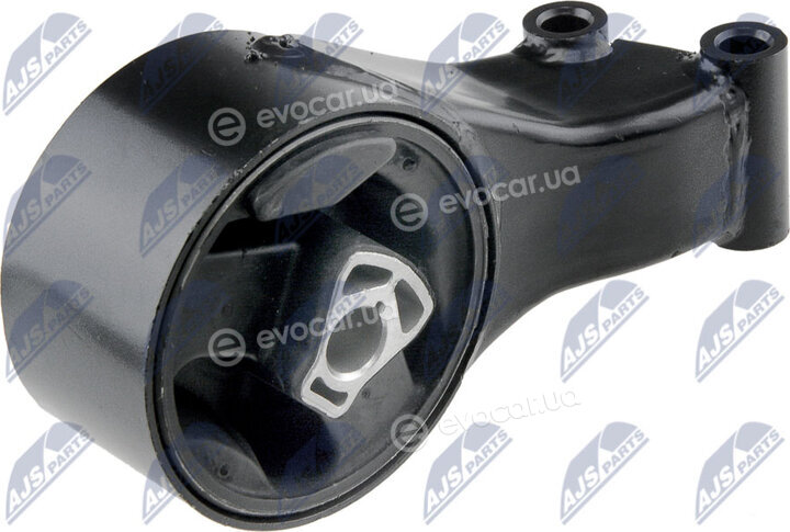 NTY ZPS-PL-004