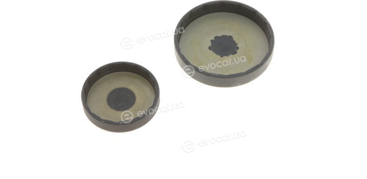 Gates K035550XS