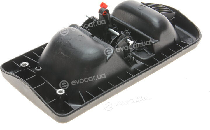 Solgy 305031