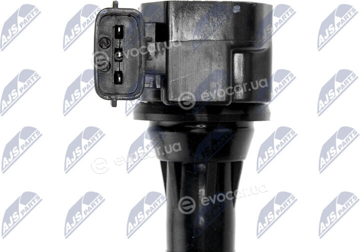 NTY ECZ-NS-003