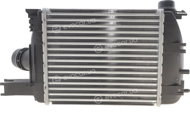 Mahle CI 497 000S