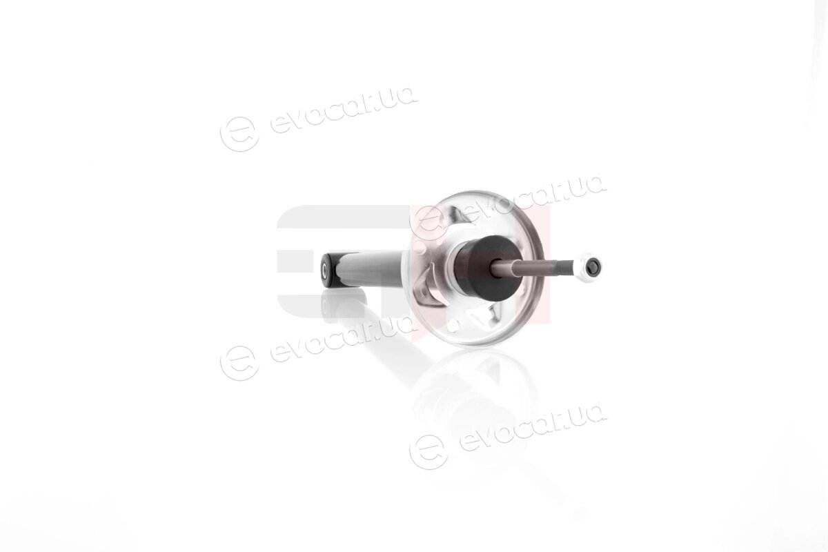 GH GH-304719