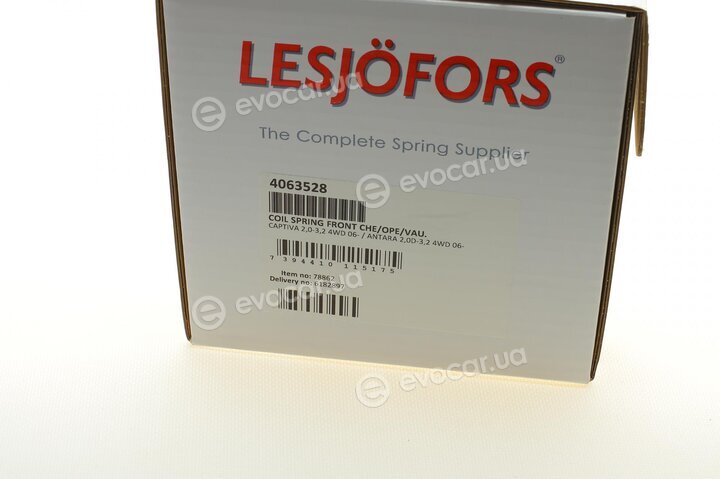 Lesjofors 4063528