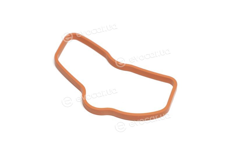 Elring 858.060