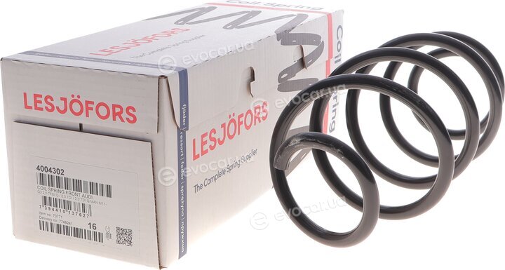 Lesjofors 4004302