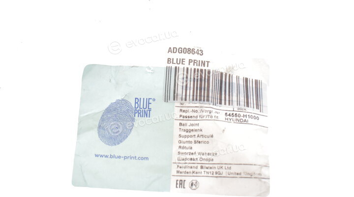 Blue Print ADG08643