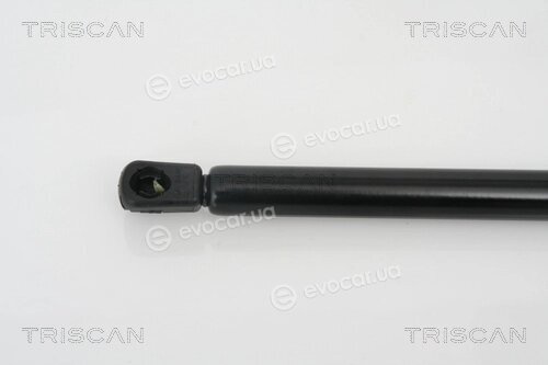 Triscan 8710 24105