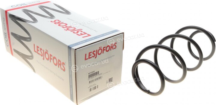 Lesjofors 4072993