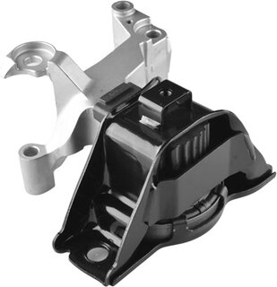 Tedgum TED49619