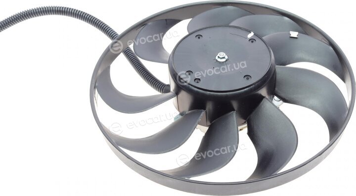 AIC 50843