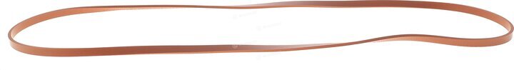 Elring 928.300