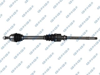 GSP 245113