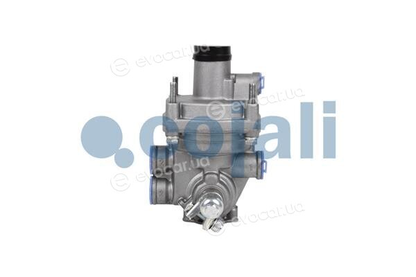 Cojali 2220341
