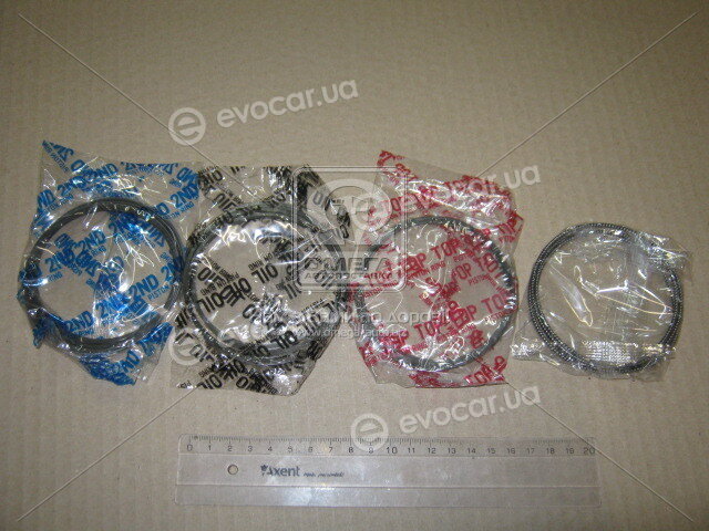 TP 34061.STD