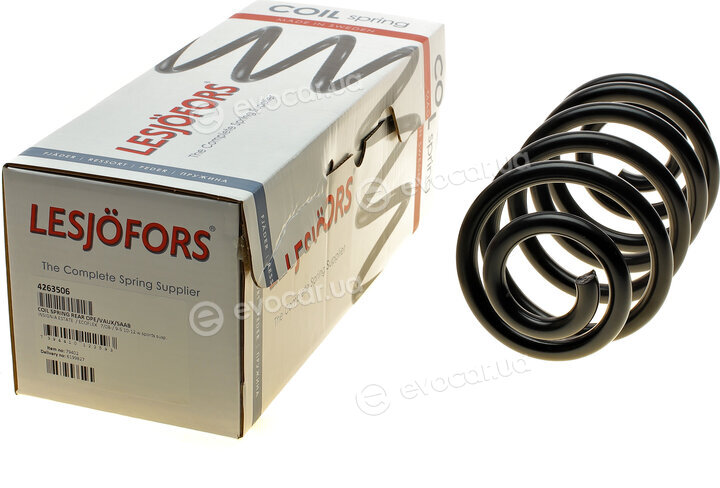 Lesjofors 4263506