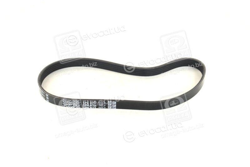 Dayco 5PK673