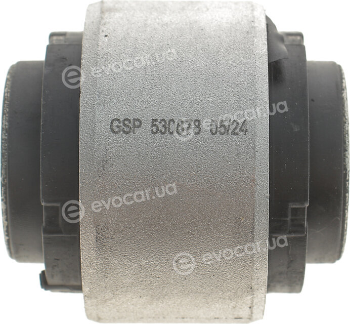 GSP 530878