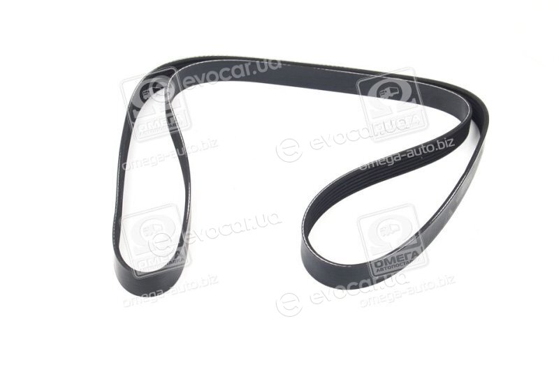 Dayco 6PK1625