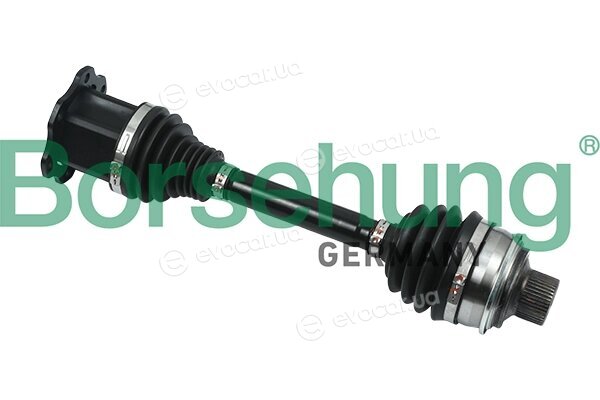 Borsehung B18398