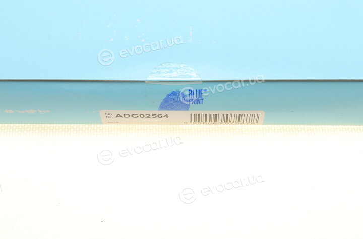 Blue Print ADG02564