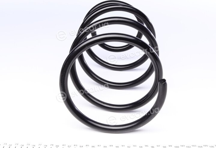 Lesjofors 4044224