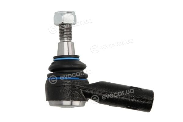 Reinhoch RH01-0034