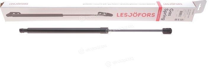 Lesjofors 8156824