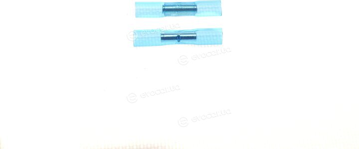 Solgy 412008
