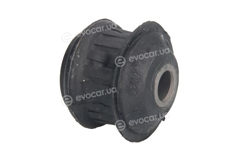 Reinhoch RH19-0003