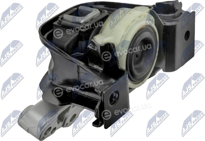 NTY ZPS-CT-012