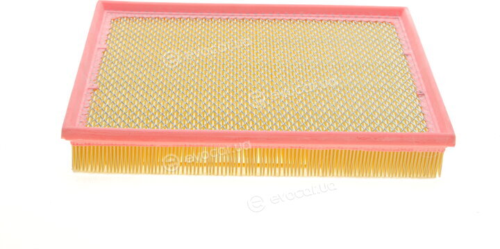 Solgy 103055