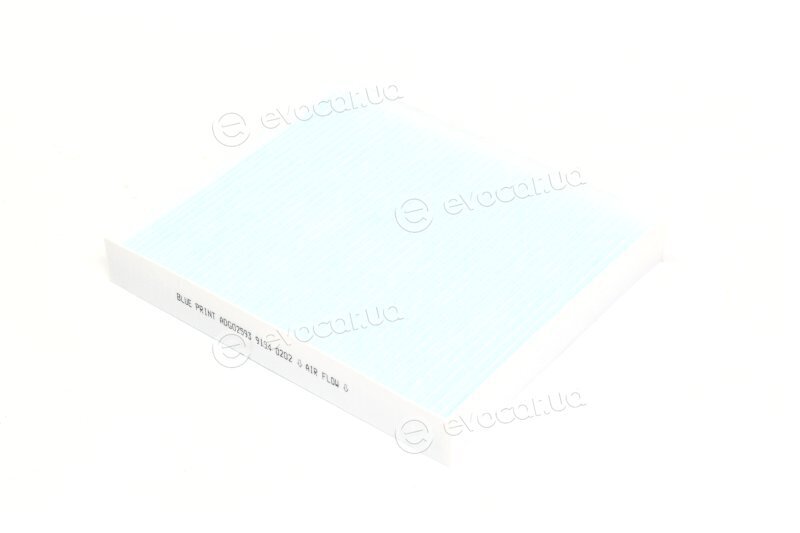 Blue Print ADG02593