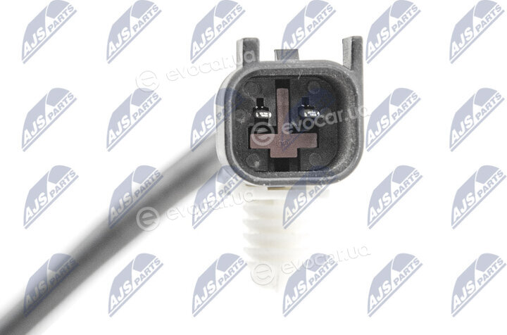 NTY EZC-VV-029