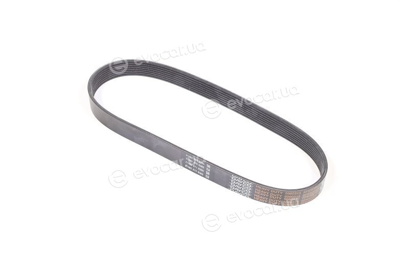 Dayco 8PK800HD