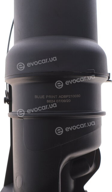 Blue Print ADBP210030