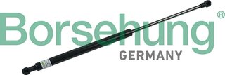 Borsehung B18453