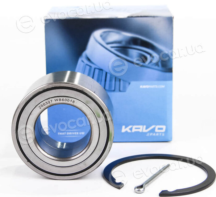 Kavo WBK-3002