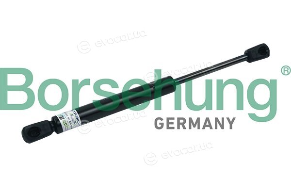 Borsehung B18441