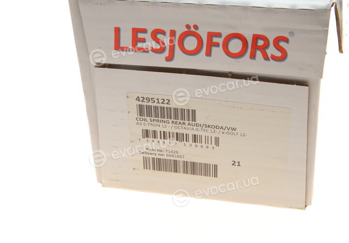 Lesjofors 4295122