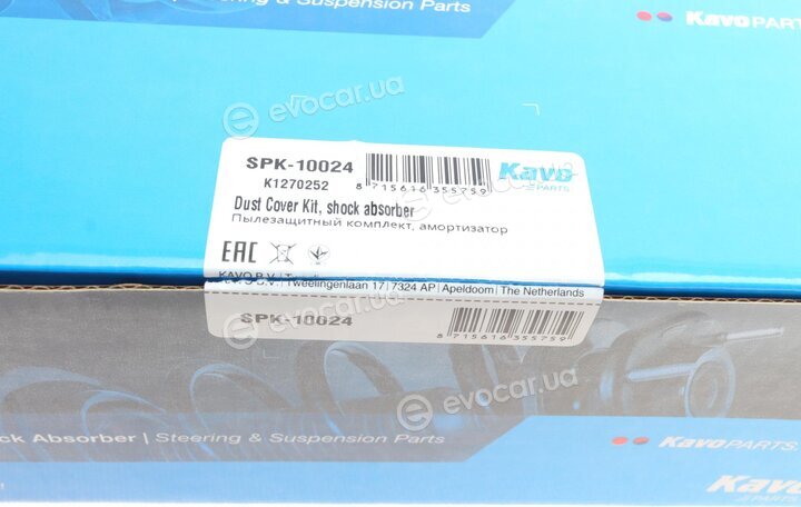 Kavo SPK-10024