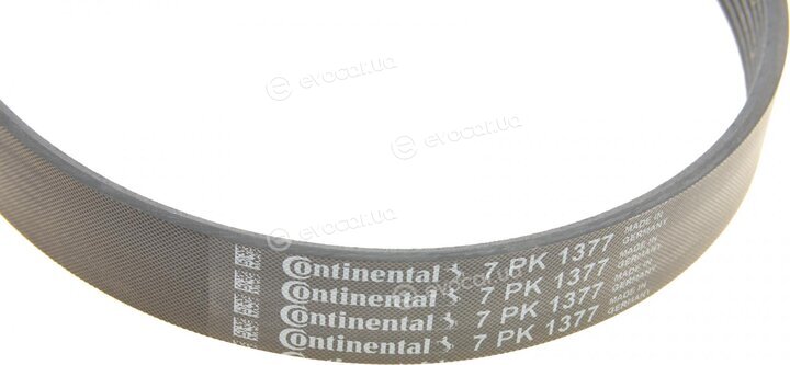 Continental 7PK1377