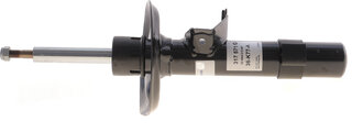 Sachs 317 571