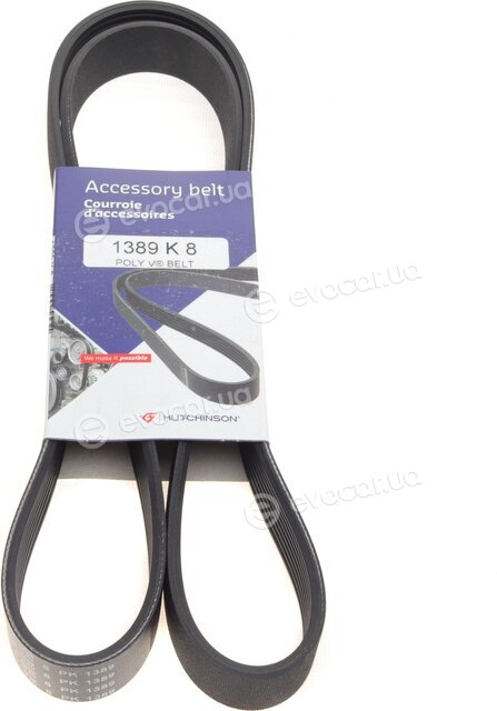 Hutchinson 1389 K 8