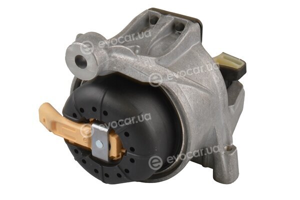 Tedgum TED80747