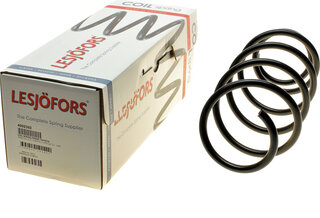 Lesjofors 4092592