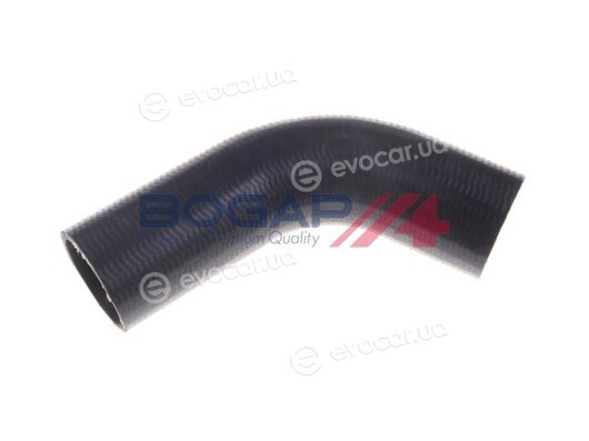 Bogap L1711102