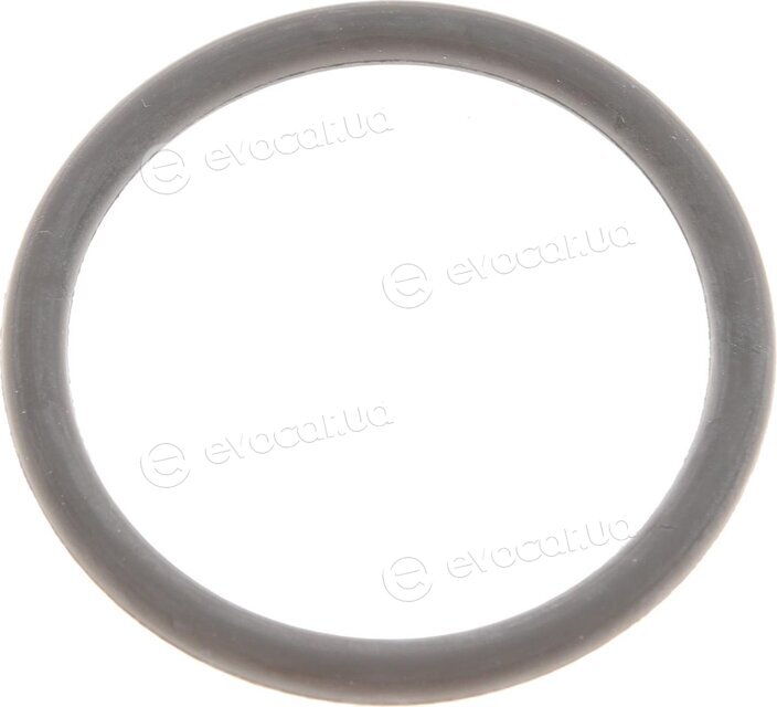 Van Wezel 37002474