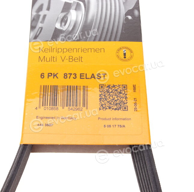 Continental 6PK873 ELAST