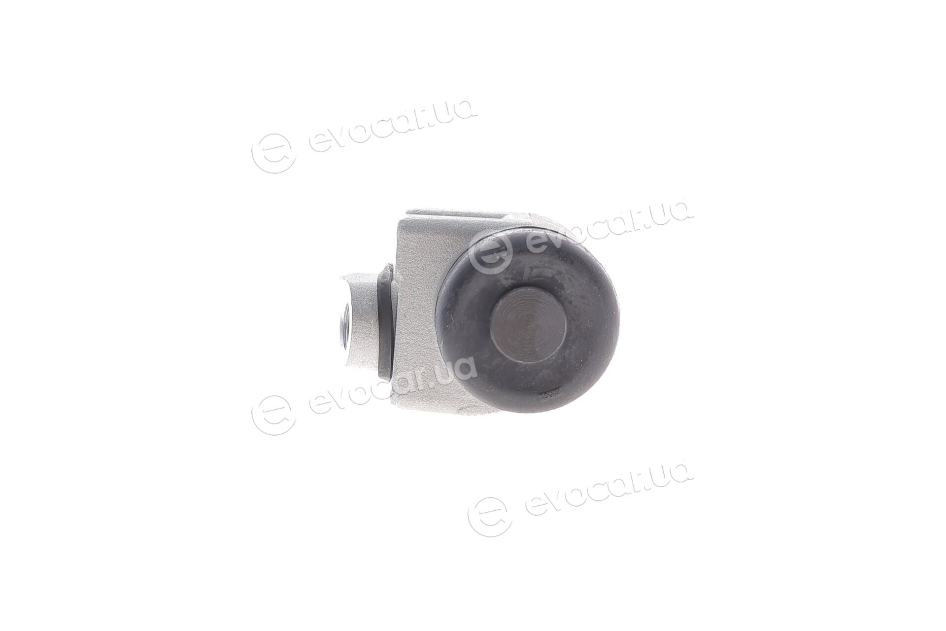 Blue Print ADG04486